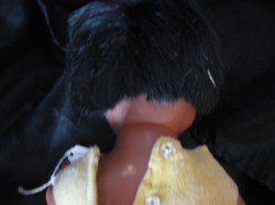 2612 smiley view_06